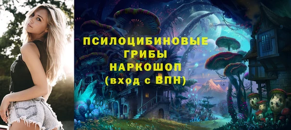 spice Алзамай