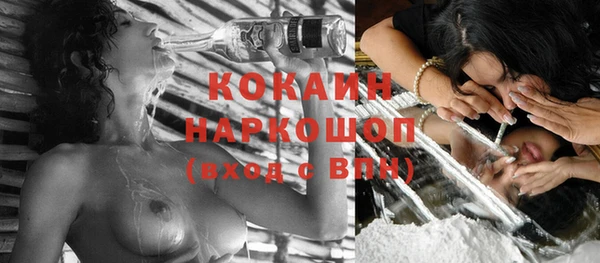 spice Алзамай